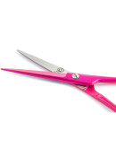 Ножницы парикмахерские "Дебют" (5.5") PBS-STU256PK