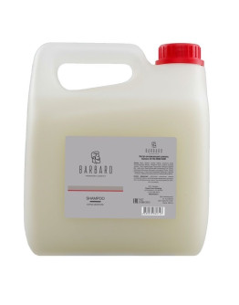 Barbaro Shampoo Extra Moisture - Экстра увлажняющий шампунь 3000 мл
